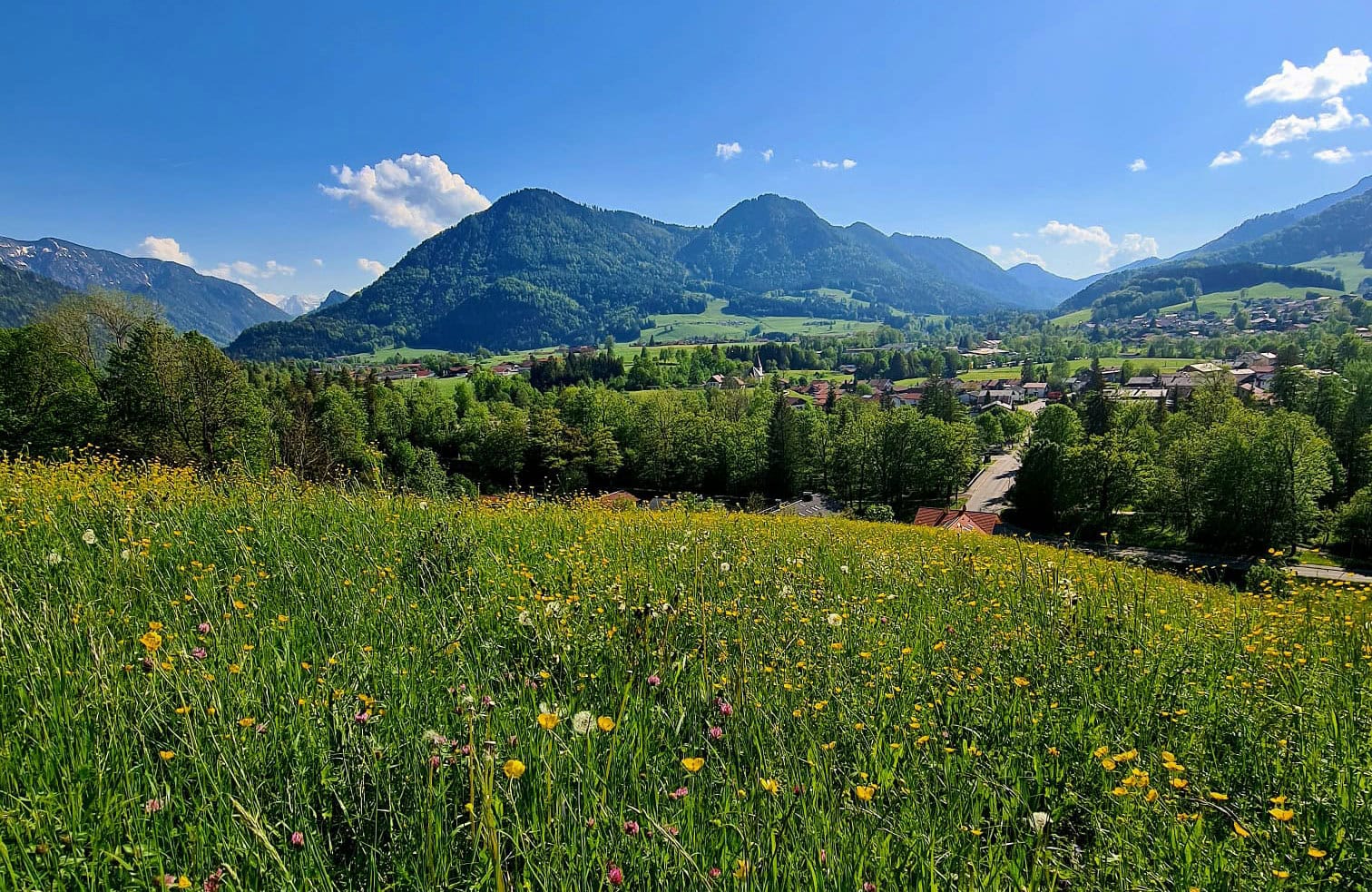 Brandler Alm - Ruhpoldings schönste Aussichtsgaststätte